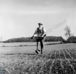 Farming, Mr W. Hinchcliffe, Westborough